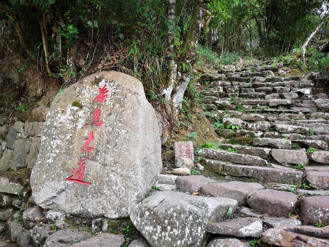 【历史文化】西南茶马古道:中外交流的桥梁与纽带 刘礼堂 陈韬