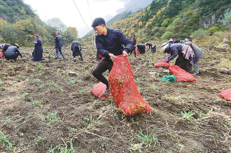 乡同步建,产业同步育,社会同步治"的"一主三同步"发展思路,当地集全县