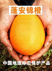 【特产】神奇的蓬安锦橙100号 