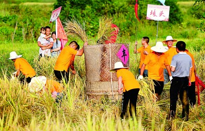 武功山世界地质公园：罗霄碧海涌 万物随春醒