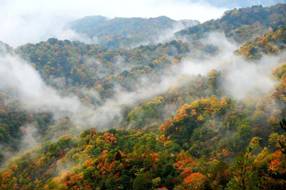 【美丽四川】最美秋色光雾山 中国红叶第一山‖杨明强 